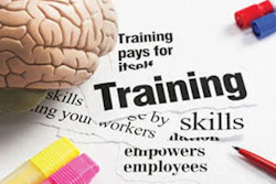 Id 779 Trainingbrain