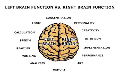 Id 1027 Whole Brain Function