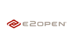 Id 993 E2open Logo