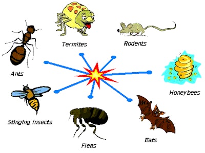 Id 1482 Pest List Image