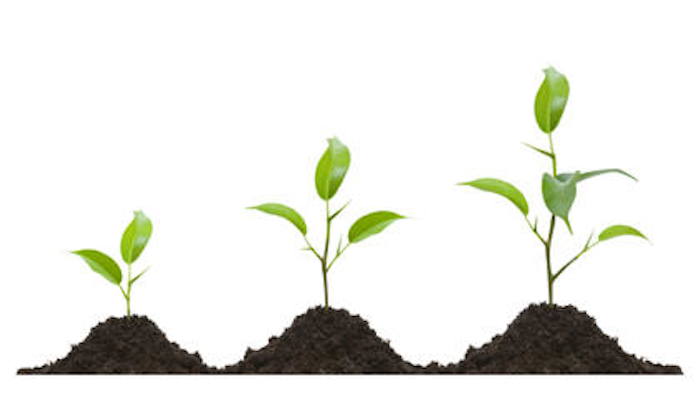 Id 7878 Business Growth