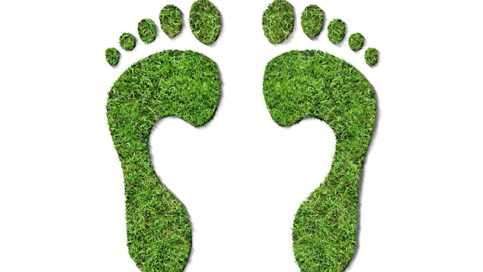 Id 8474 Carbon Footprint 0