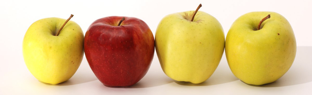 Id 19641 Apples
