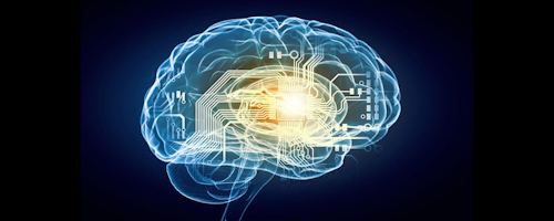 Id 33442 Mindset