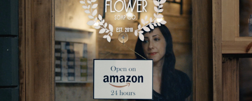 Id 35683 Amazon Small Biz Photo