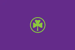 Id 36548 Shamrock International Logo