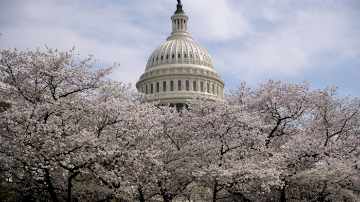 Id 39911 Ap Capitol