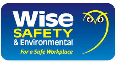 Wise Combo Logo Long Small
