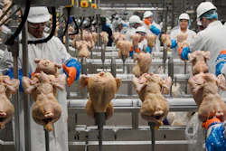 In this Dec. 12, 2019 file photo, workers process chickens at the Lincoln Premium Poultry plant, Costco Wholesale's dedicated poultry supplier, in Fremont, NE.