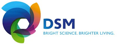 Dsm 2