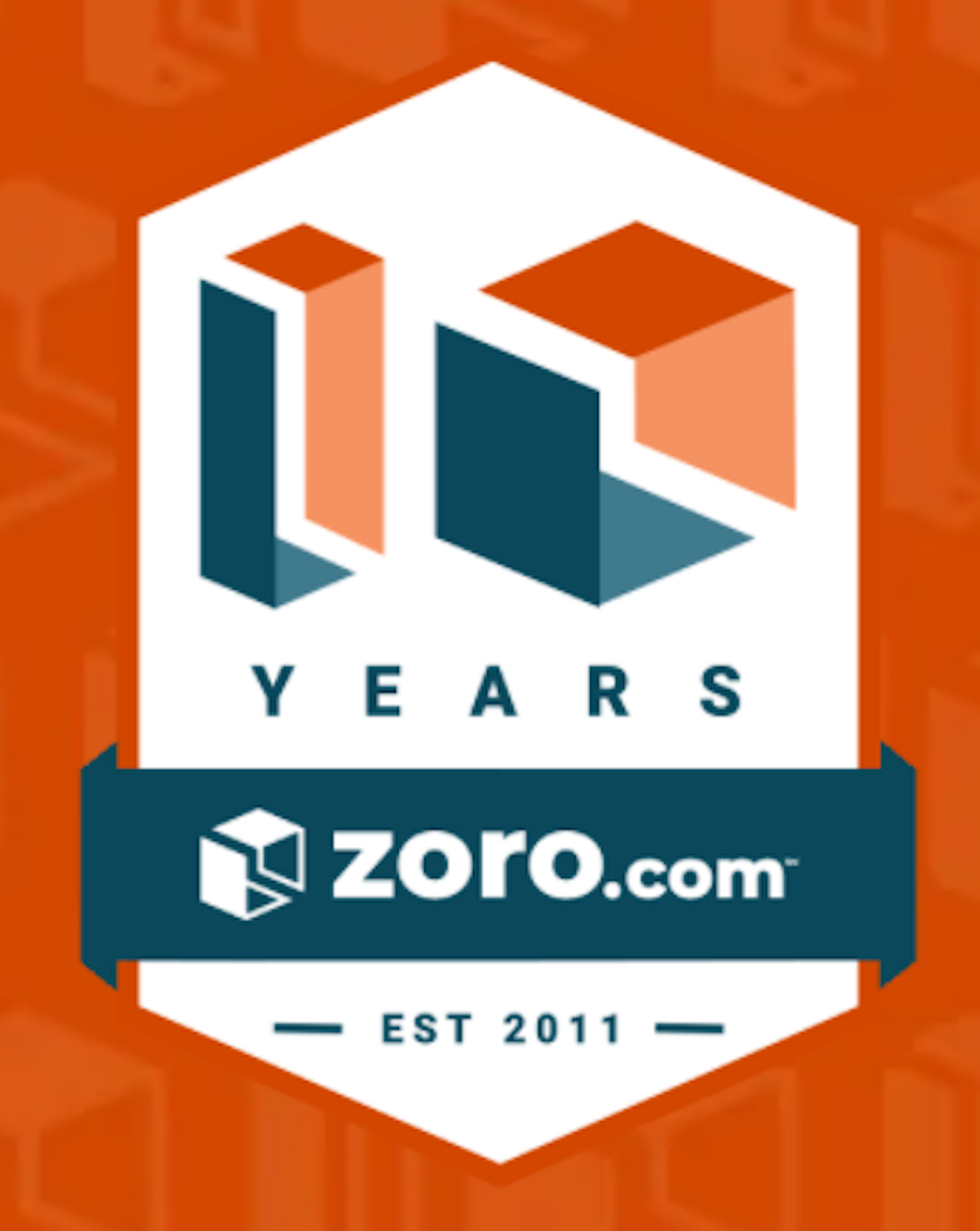 Zoro 10 Years