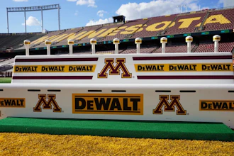 Minnesota Bench Dewalt