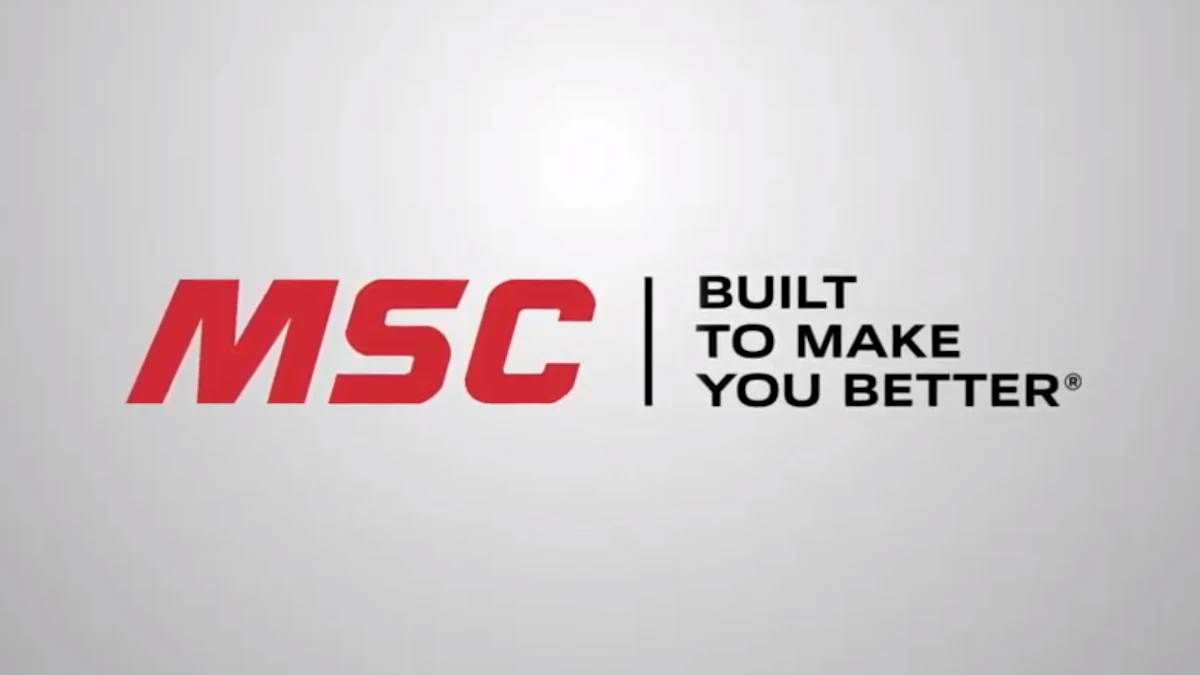 MSC Appoints New Leader for Category Strategy - Vimarsana News