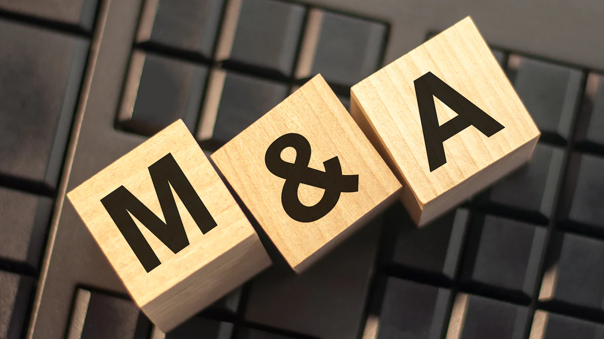 Pace of M&A Cools, but Expect Big Things Ahead - Vimarsana News