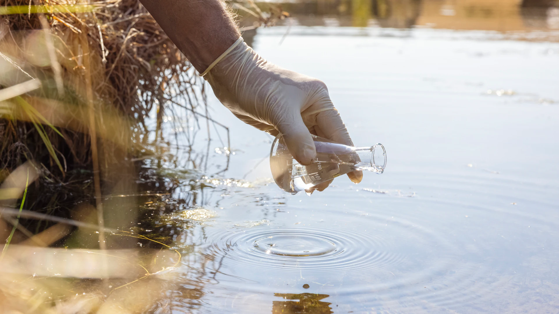 Wis. AG Sues 18 Companies Over PFAS Contamination - Vimarsana News