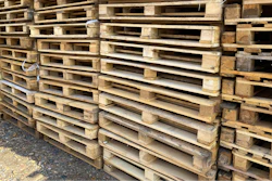 I Stock 1433620233