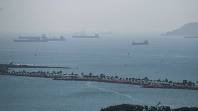 Cargo ships wait in Panama Bay for transit through the Panama Canal, Panama City, Jan. 17, 2024.