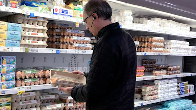 A shopper checks eggs at a grocery store in Glenview, Ill., Jan. 10, 2023.