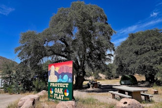 Oak Flat Campground in the Tonto National Forest, Miami, Ariz., June 9, 2023.