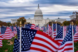 Miniature American flags flutter in wind gusts across the National Mall near the Capitol in Washington, Nov. 10, 2025.