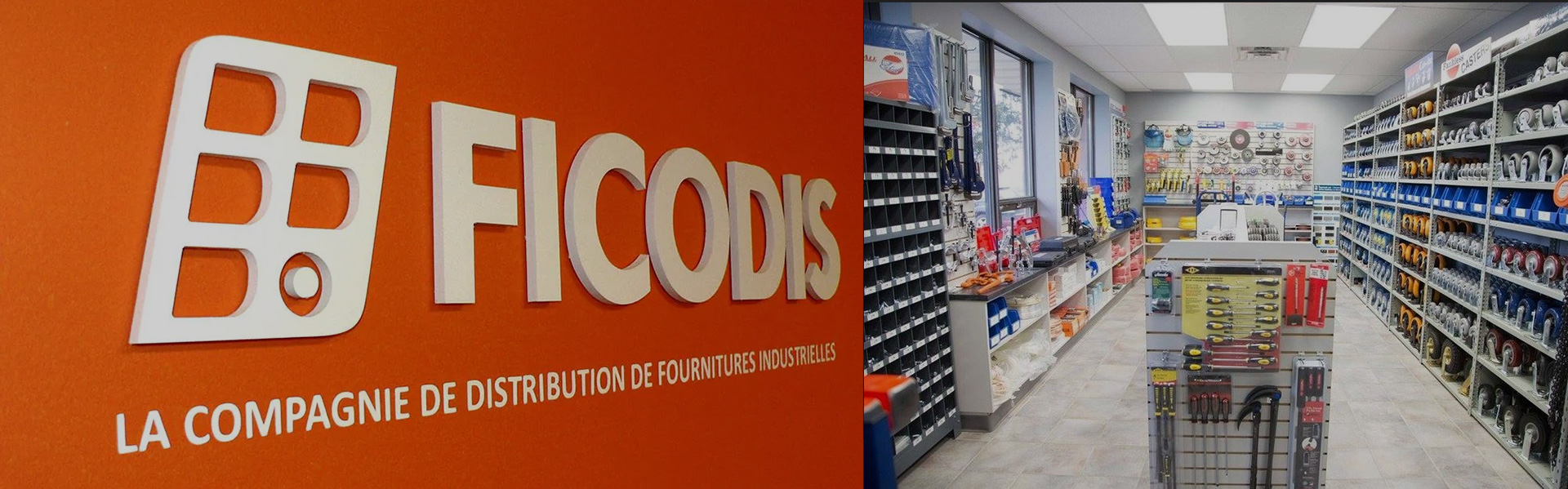 Ficodis 1