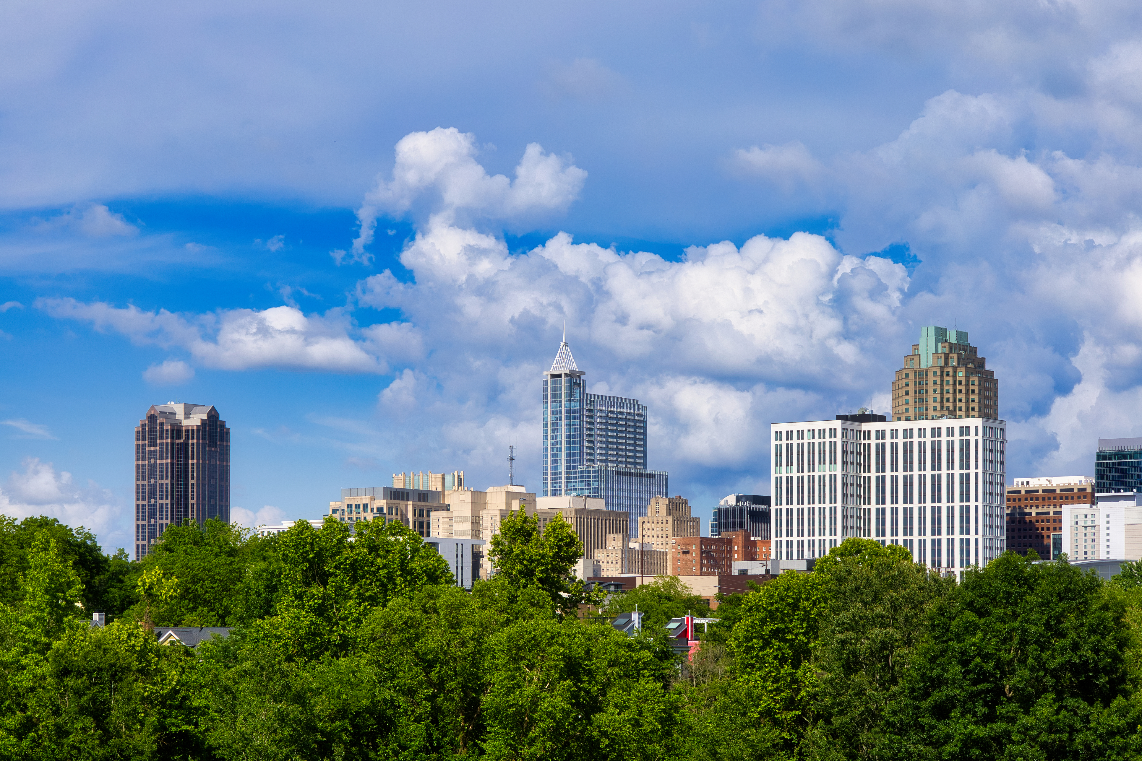Raleigh, N.C.